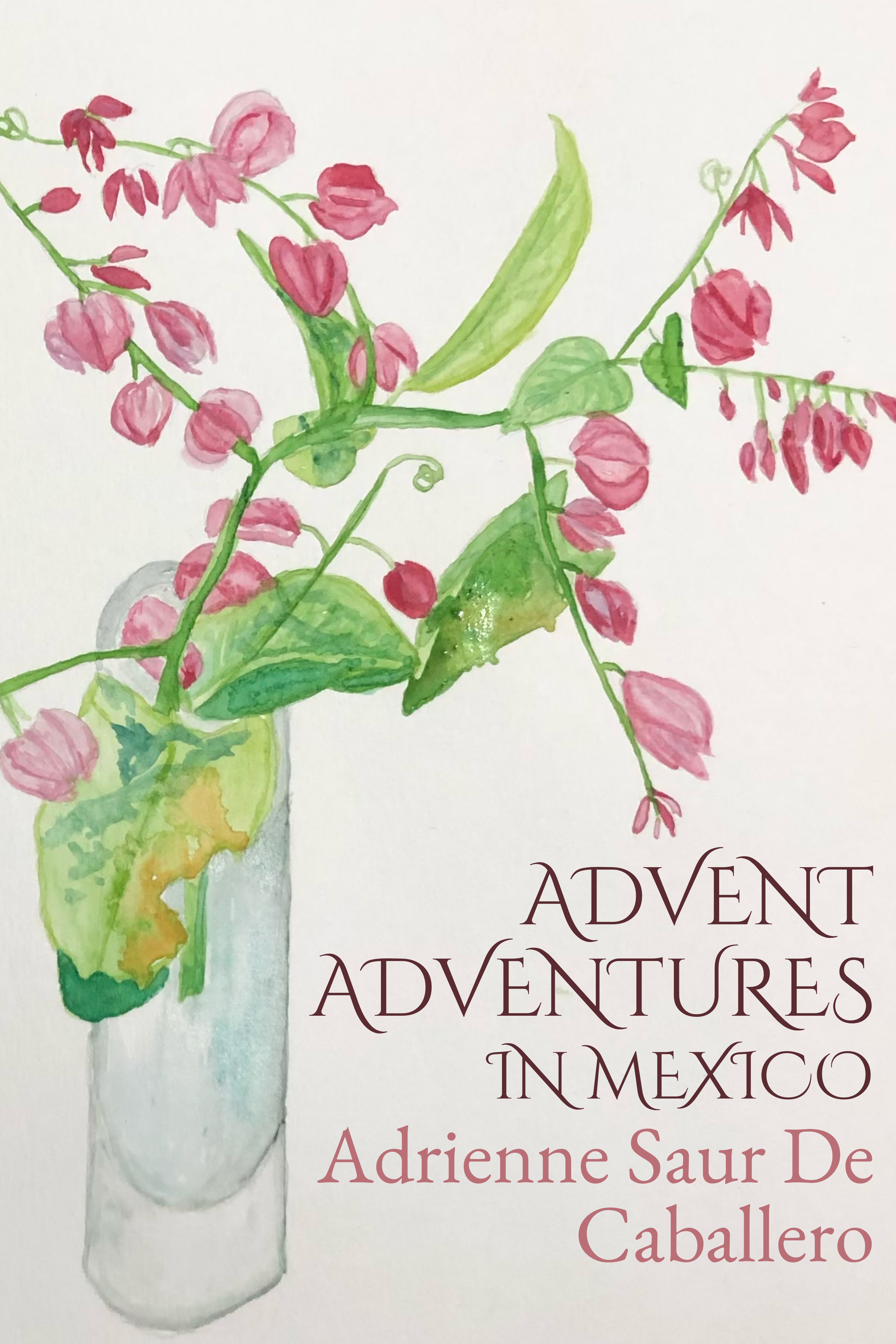 Advent Adventures in Mexico