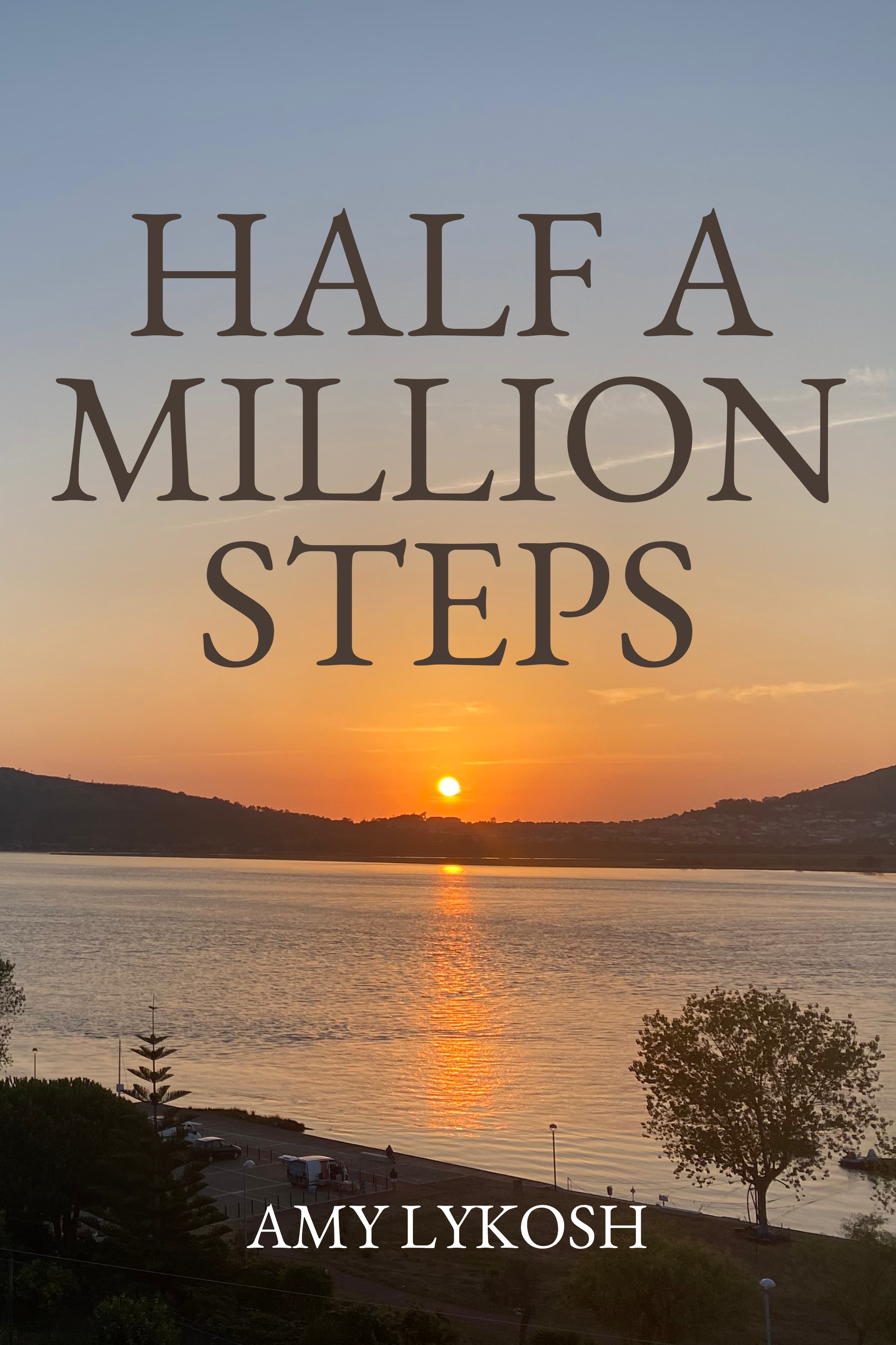 Half a Million Steps