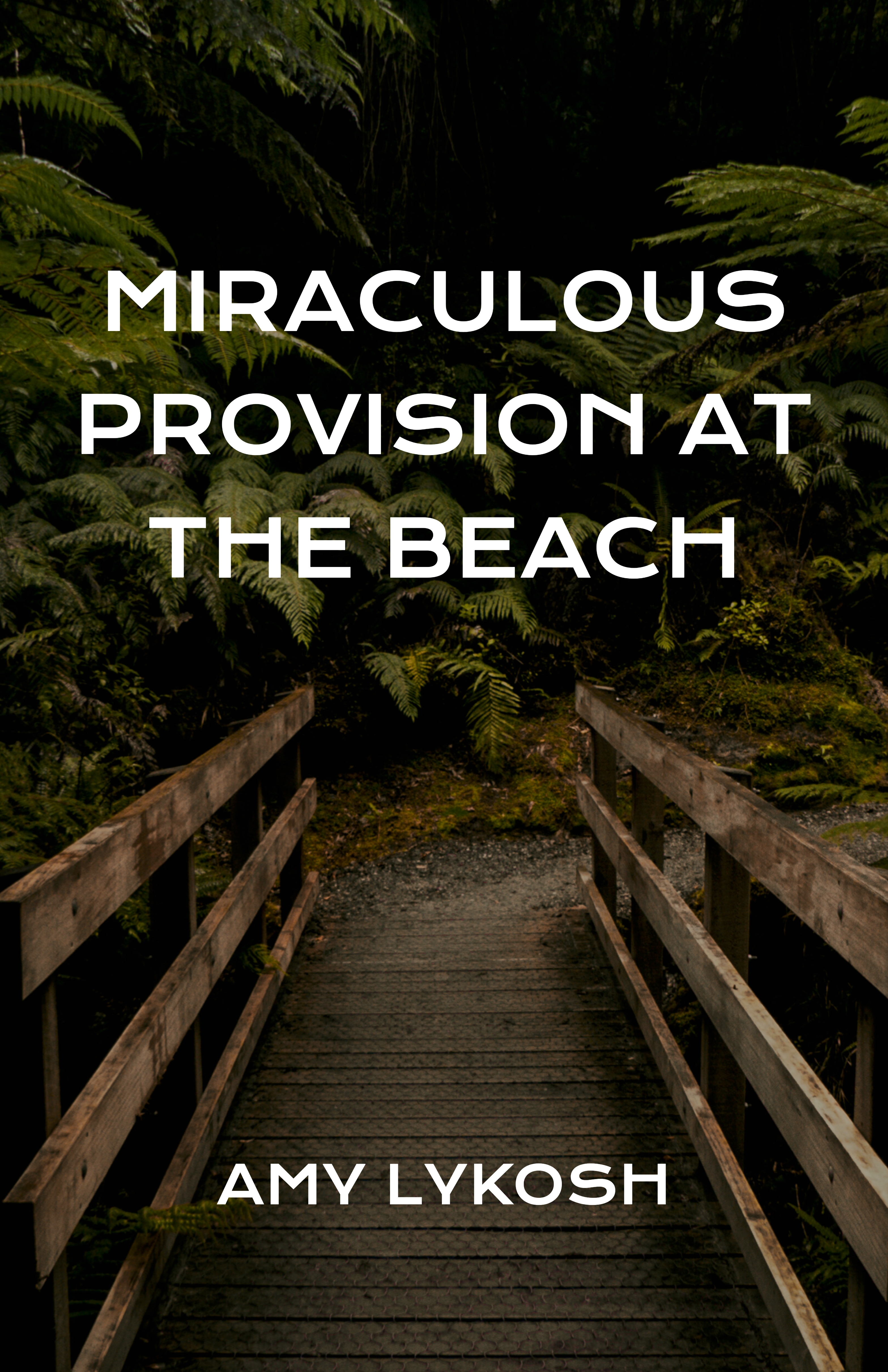 Miraculous Provision at the Beach