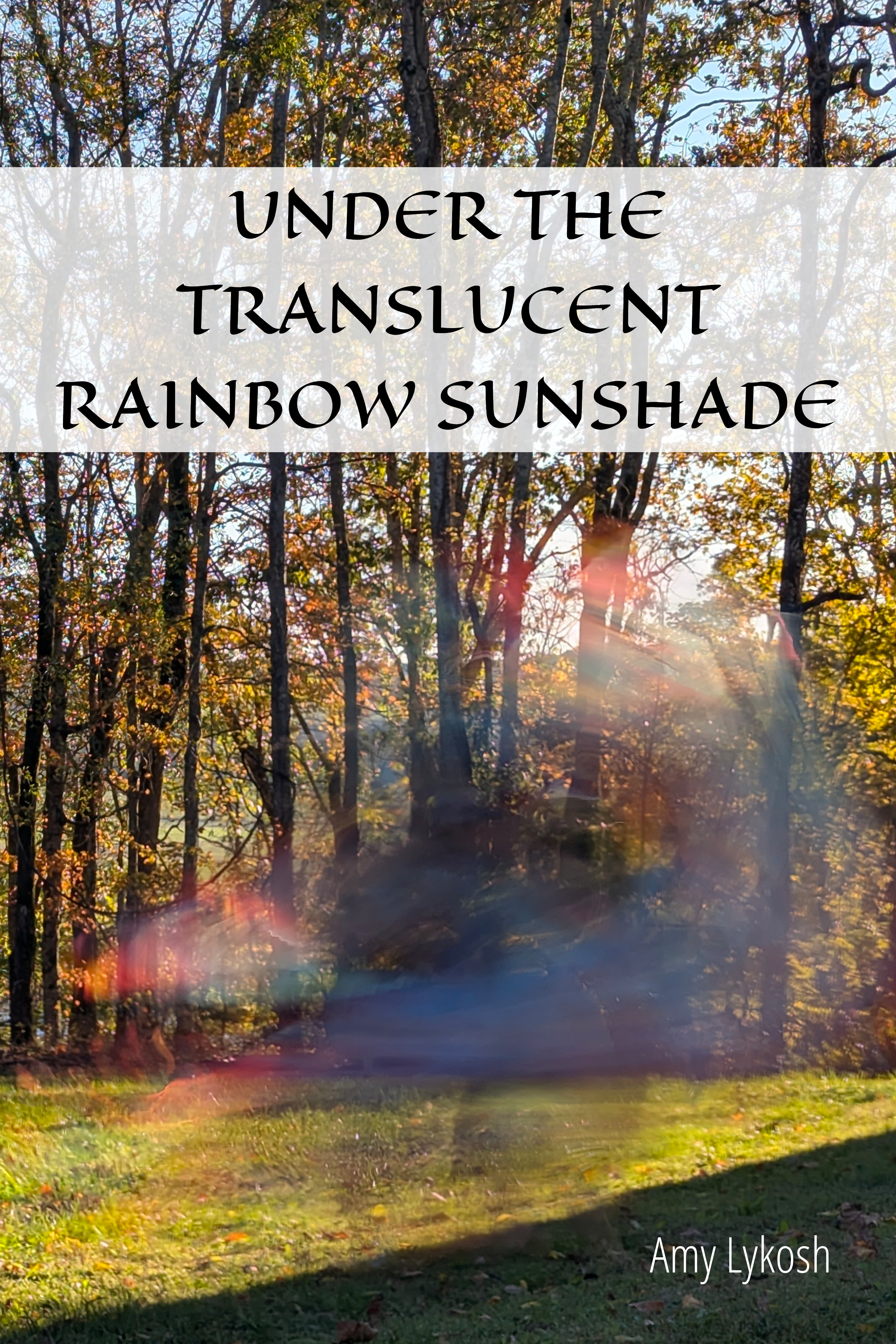 Under the Translucent Rainbow Sunshade